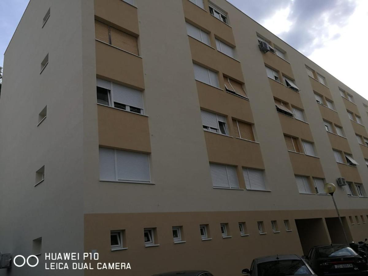 Apartment Mihaela Zadar Eksteriør billede
